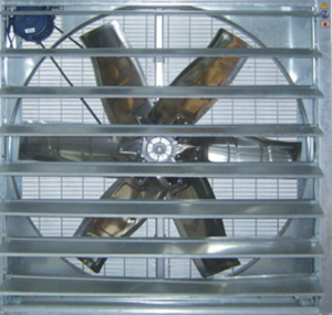 xһʹÉL(chng)ؓL(fng)C